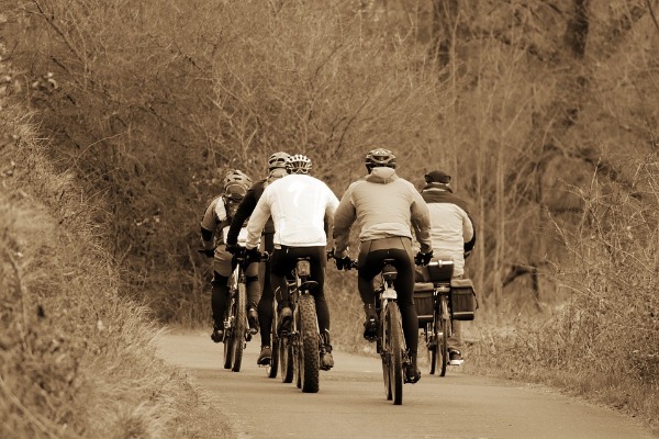 Grupo de ciclistas en una carretera angosta en medio del bosque